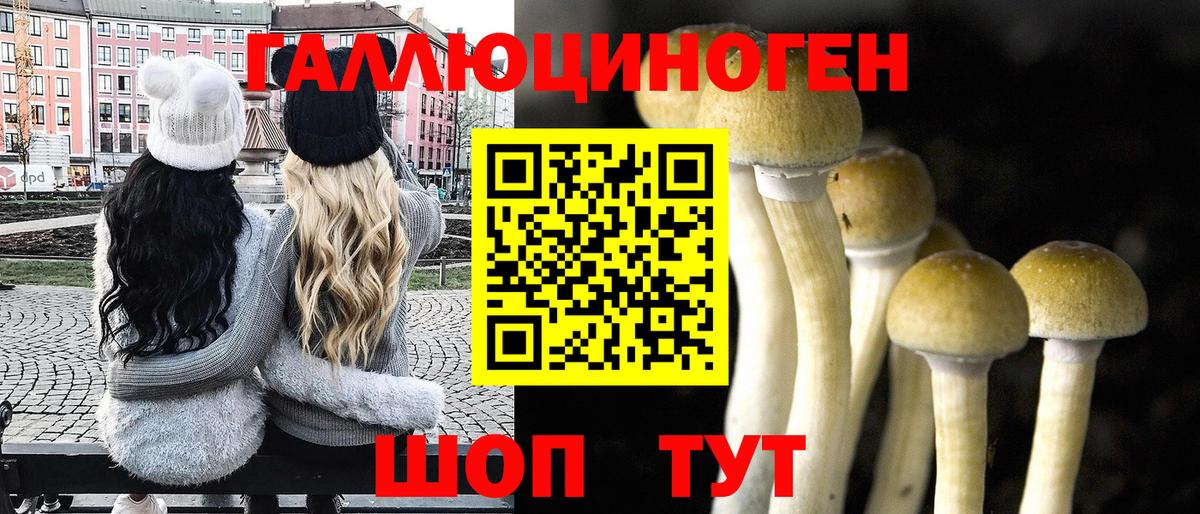 Псилоцибиновые грибы GOLDEN TEACHER Лысьва